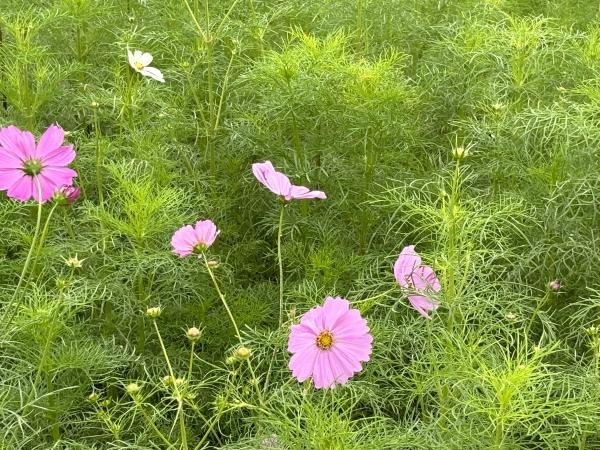 教室の雰囲気が分かる写真