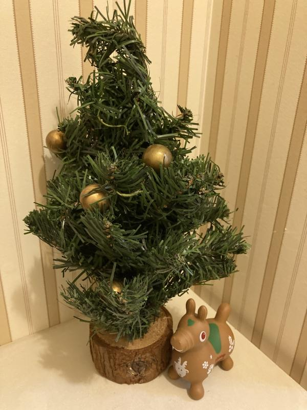 教室の雰囲気が分かる写真