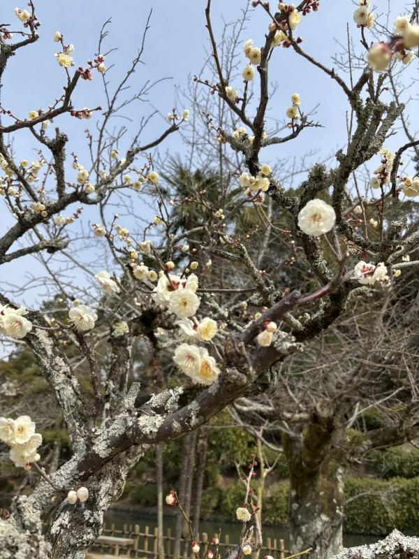 教室の雰囲気が分かる写真