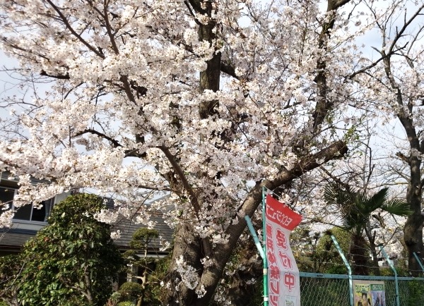 教室の雰囲気が分かる写真