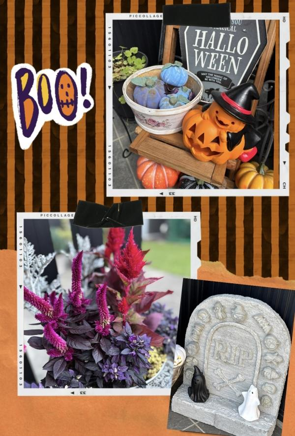 教室の雰囲気が分かる写真