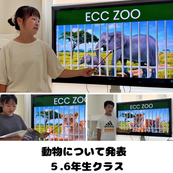 教室の雰囲気が分かる写真