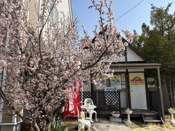 教室の雰囲気が分かる写真