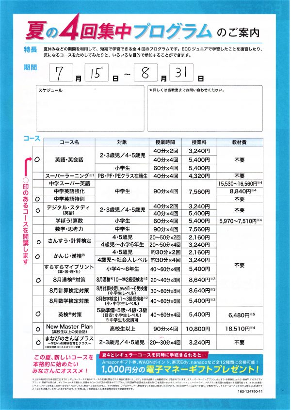 夏の4回集中プログラムの参加者募集中