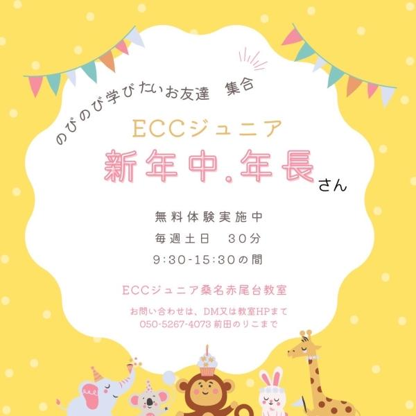 教室の雰囲気が分かる写真