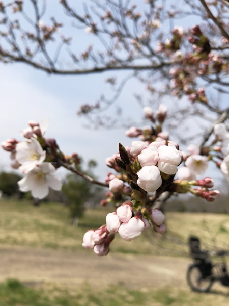 もうすぐ新学期