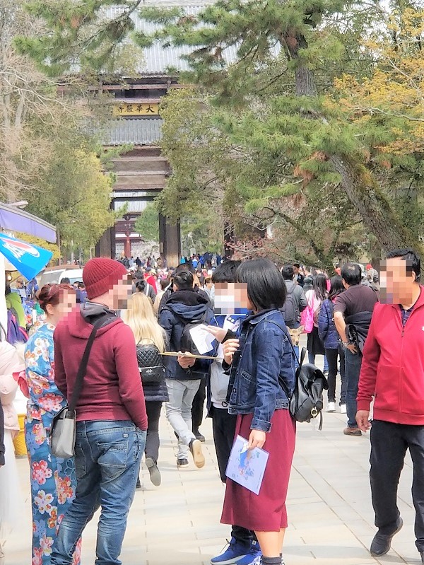 奈良公園外国人観光客インタビュー