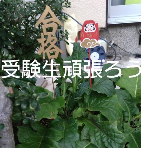 教室の雰囲気が分かる写真