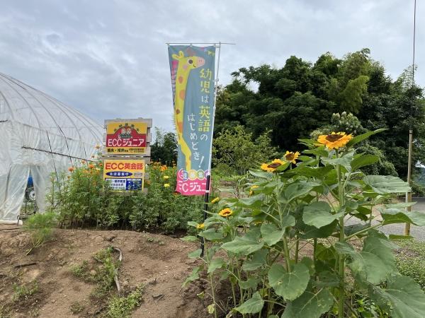 教室の雰囲気が分かる写真