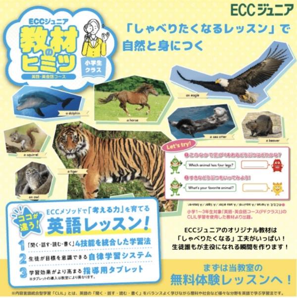 子どもたちが楽しく学ぶ英語・英会話教室