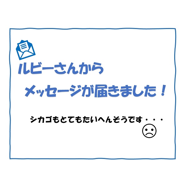 シカゴのルビーさんからのメッセージです