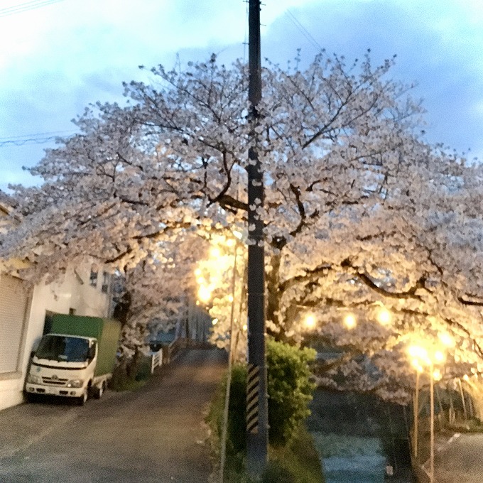 普通の毎日がとても幸せだと実感した今年の春 Eccジュニア 木津教室