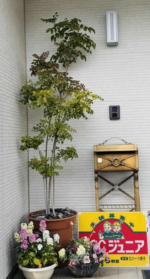 教室の雰囲気が分かる写真