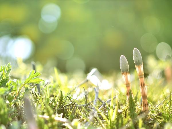 今年最高の開運日