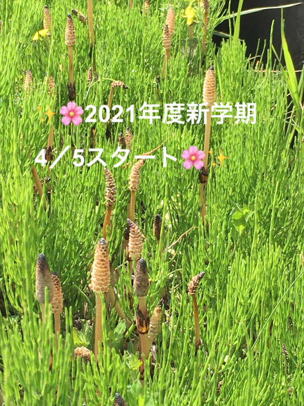 2021年度の新学期が始まりました♪