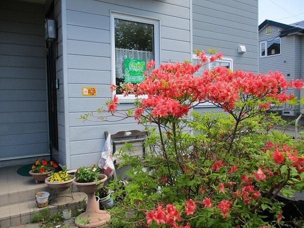 Eccジュニア みどり野教室 苫小牧市 有珠 沢町 子ども 幼児 英会話 英語