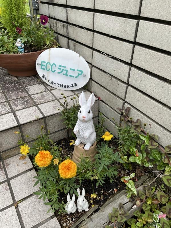 教室日誌 Eccジュニア 花山手教室 宮崎市 花山手東 子ども 幼児 英会話 英語