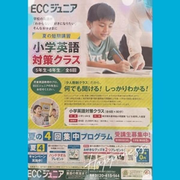 夏の朝を英語学習に活用しよう Eccジュニア 金房教室