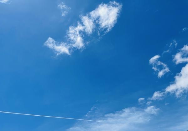 【終了しました】☀︎今年の夏こそ､学びのチャンス！さあ、始めよう！夏の4回集中プログラム　実施中！☀︎