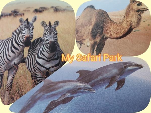 ☆ My Safari Park ☆