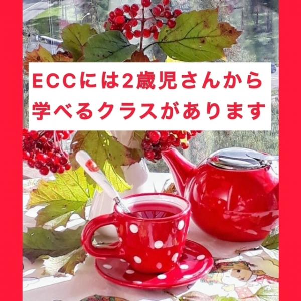 ECCは2歳から始められます！