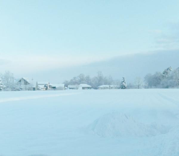 雪国、岩手。