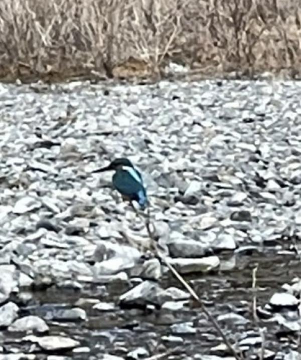 生徒の気づきが嬉しい！