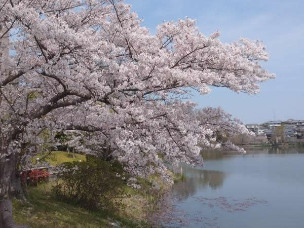 卒業生とその保護者様から