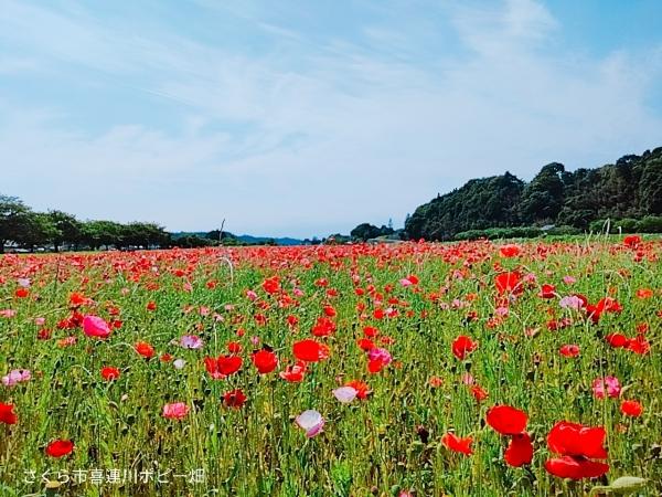 6月スタートです！