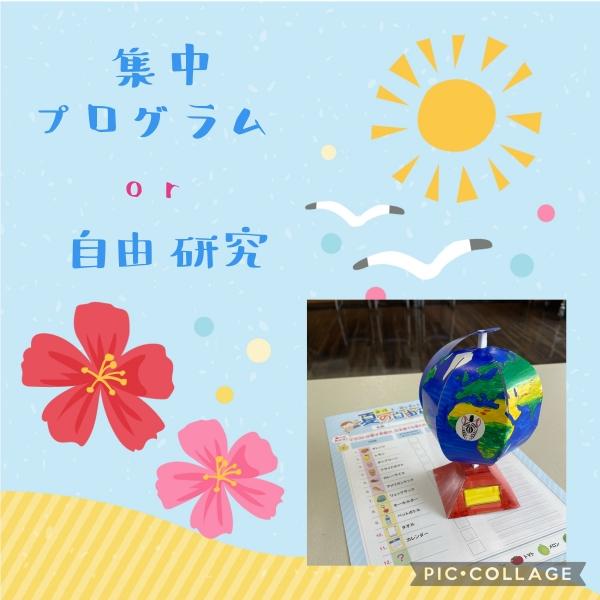 夏の集中プログラム！