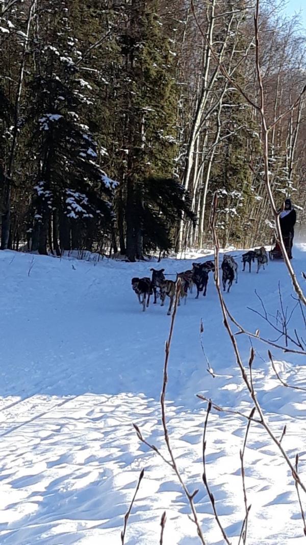 アラスカから来る先生のお友達への質問