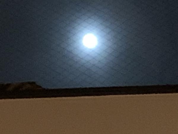 THE LAST FULL MOON of this year