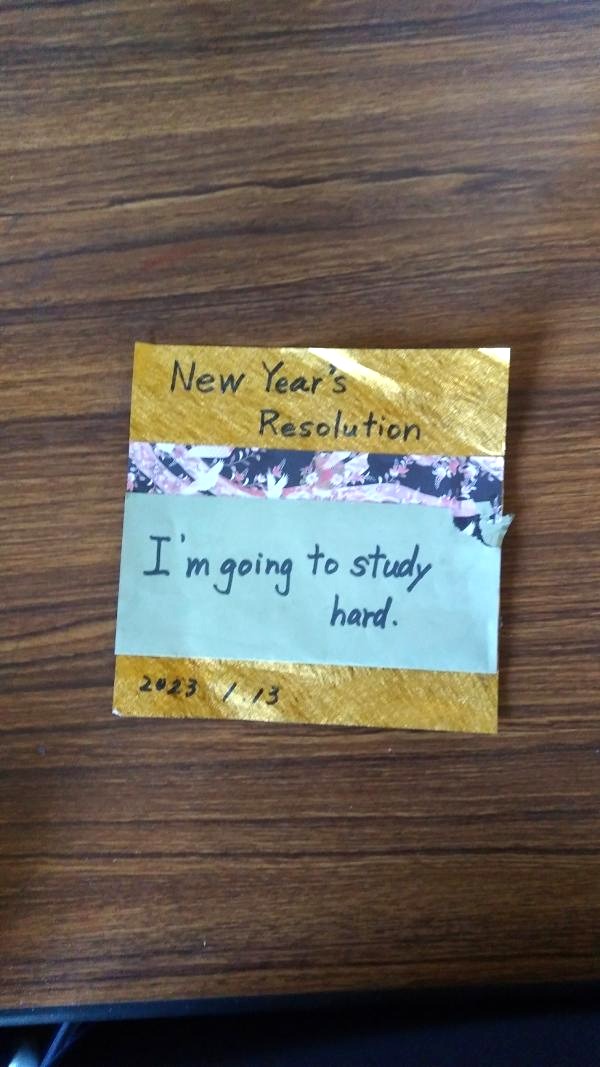 New Year's Resolution