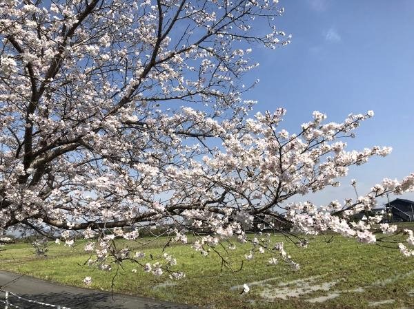 日本帰国あるある