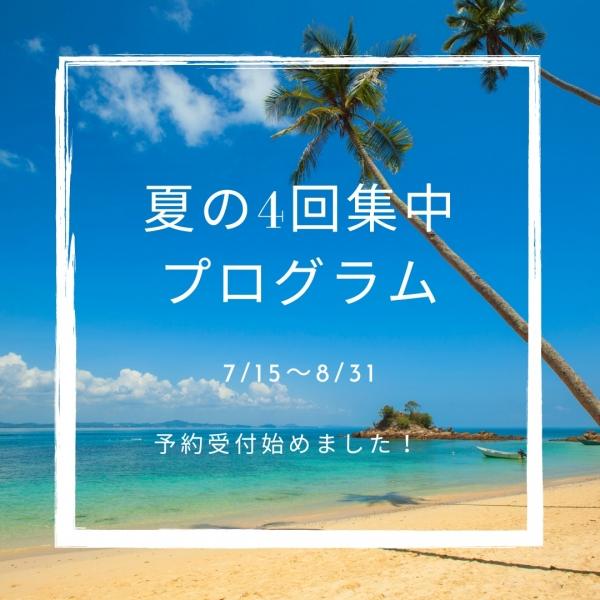 夏の4回集中プログラム受付中