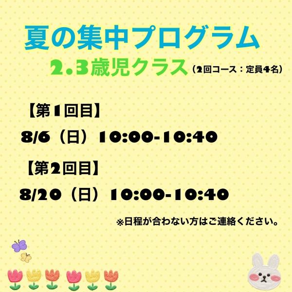 【☆夏の4回集中プログラム：2.3歳児クラス☆】