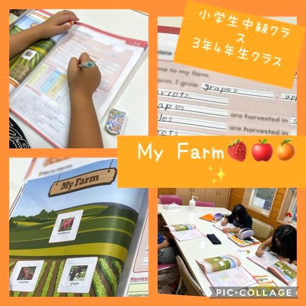 《My Farm》私の農園