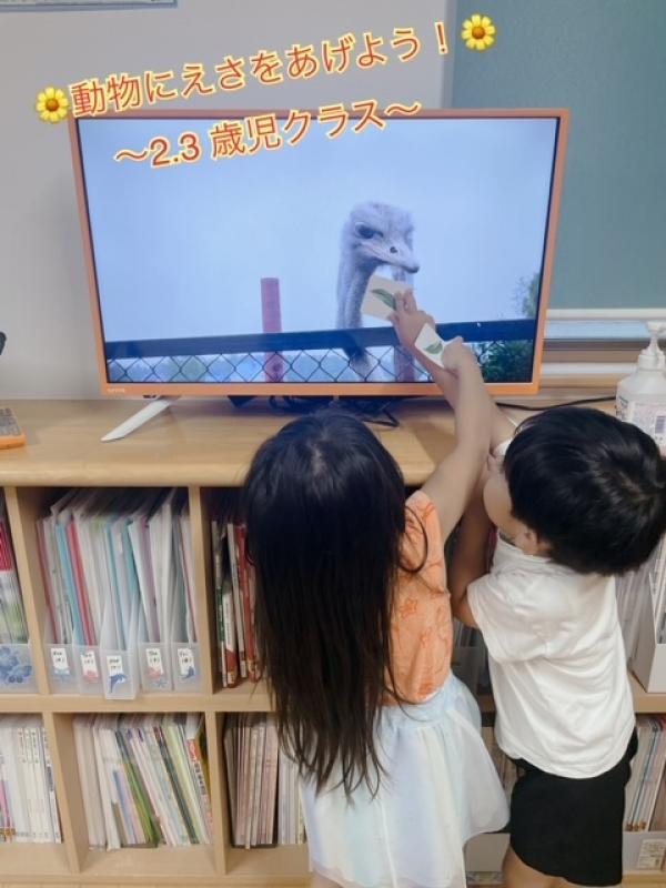 「動物にえさをあげよう！」2・3歳児クラス！