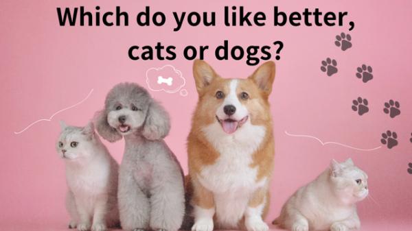 犬と猫、どちらをペットとして飼いたい？　＠諫早市ECCジュニア青葉台教室