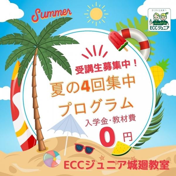 夏の4回集中プログラム