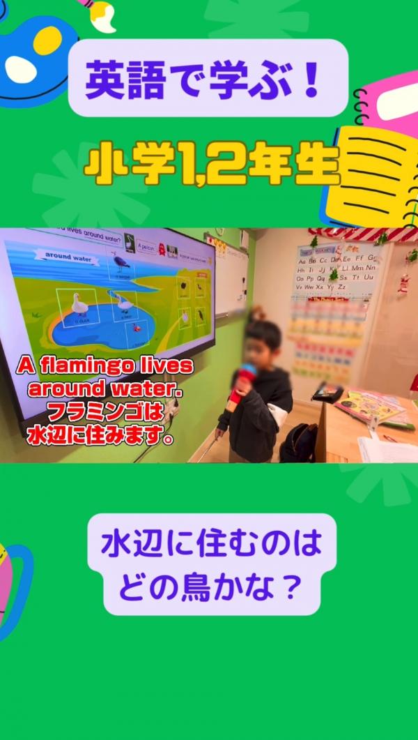 小学1,2年生PF/SFクラス。英語で！学ぶ。