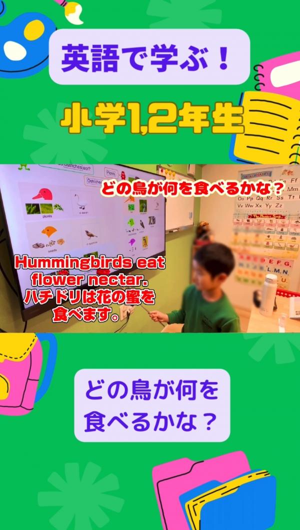 小学1,2年生PF/SFクラス、英語で！学ぶ