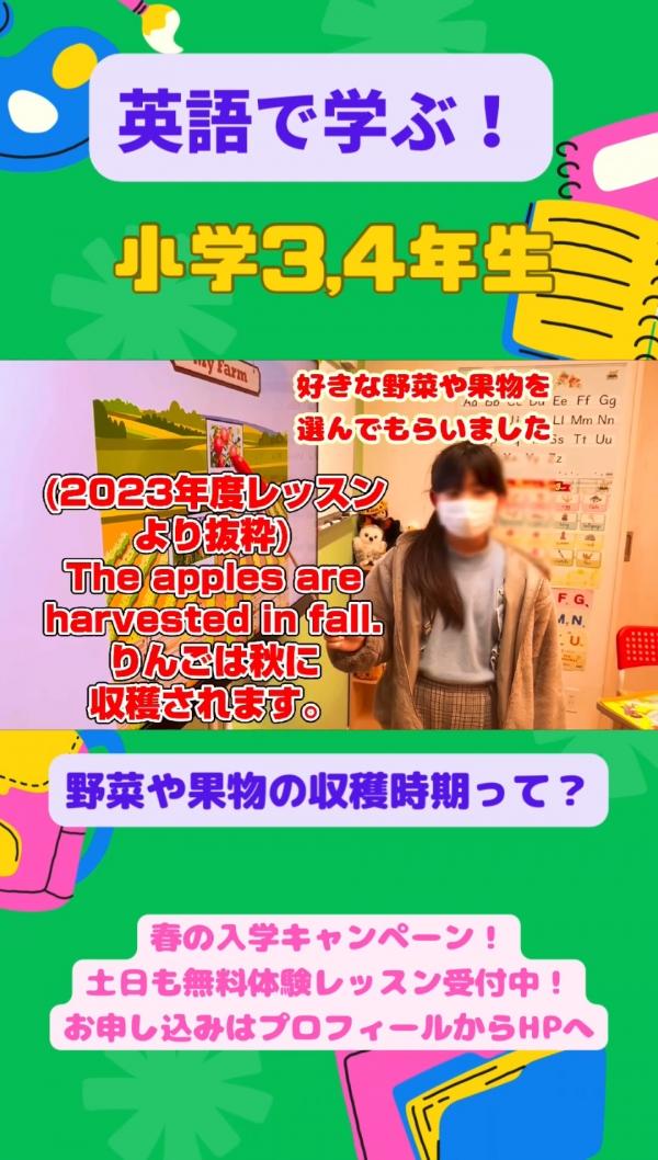 小学3,4年生PIクラス、英語で！学ぶ