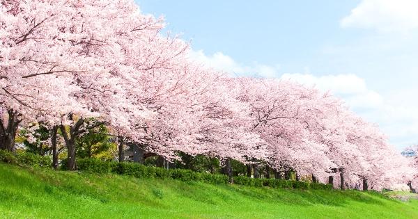 新年度のご挨拶～2024年度のスタートです～