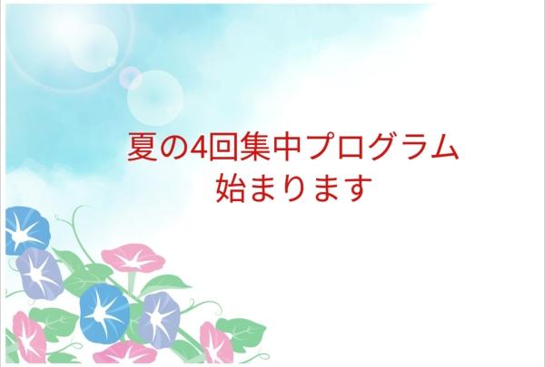 夏の4回集中プログラムです