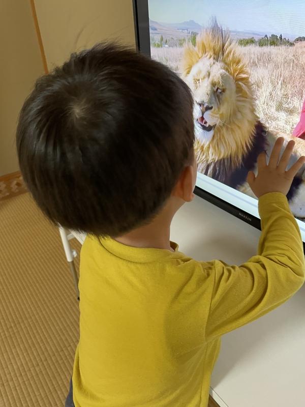 年少さん　動物と触れ合おう！