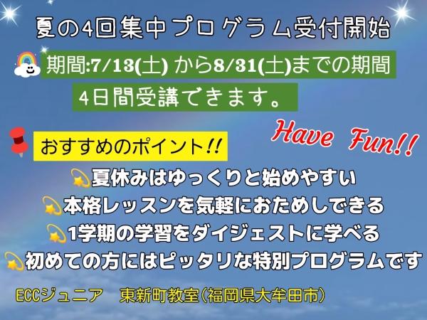 夏の4回集中プログラム開催