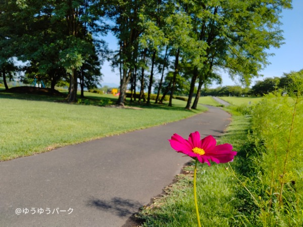 【❀myself❀】暑くなる前に