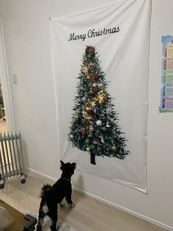 教室の雰囲気が分かる写真