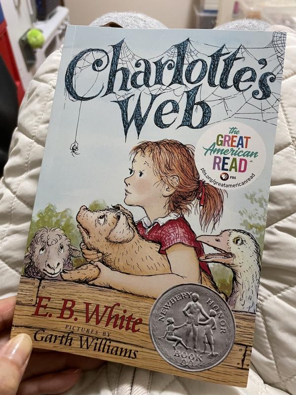 charlotte’s web